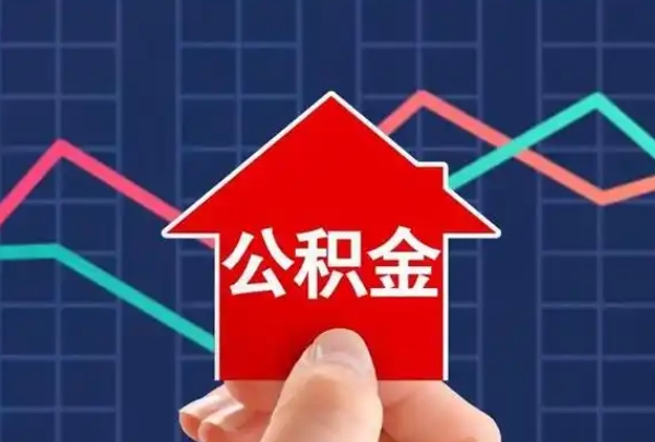 上海公积金贷款会看征信吗？征信报告如何影响贷款审批结果